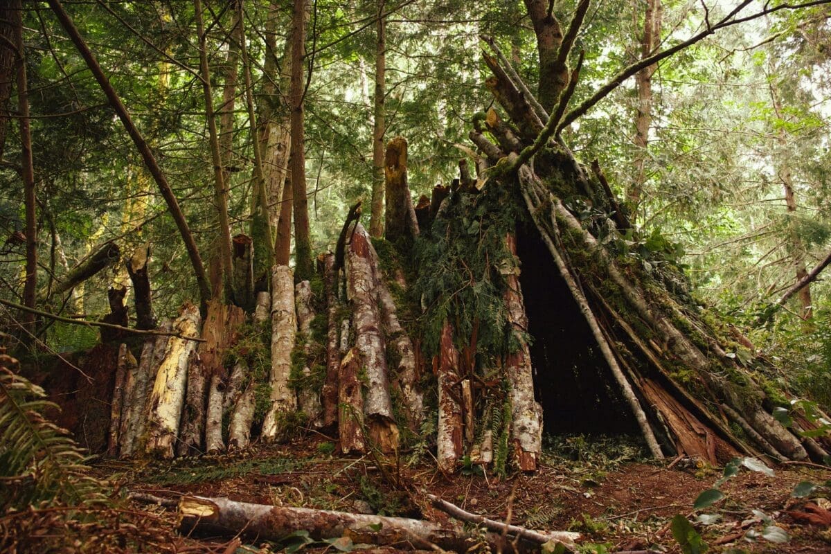 Survival shelter built from natural debris with a campfire in a remote forest.